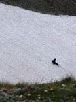 Jon Sliding
